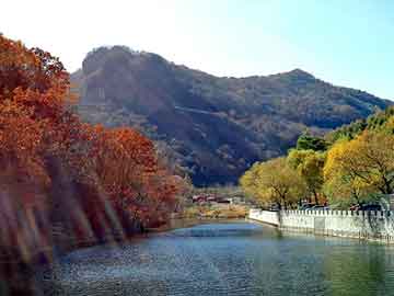 天天彩好彩天天免费，低空排放油烟净化器